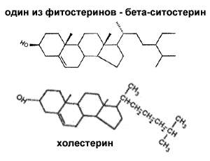 Опис : http://www.cbio.ru/images/books/1157/library/sitoster.gif