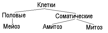  : http://prirodakem.narod.ru/Biblioteka/posobie/Image36.gif